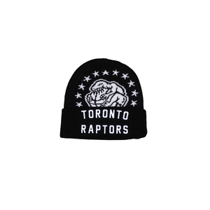 Toronto Raptors Mitchell & Ness Fame Knit Cap