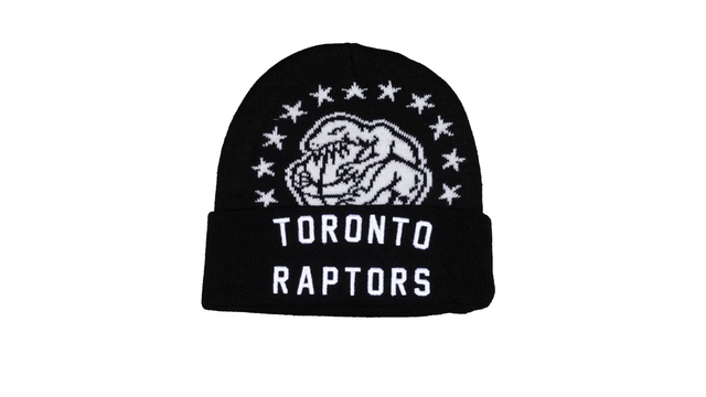 Toronto Raptors Mitchell & Ness Fame Knit Cap Front_Flat