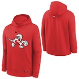 Youth Toronto Raptors City Edition Club Logo Hoodie Composite_or_Mixed