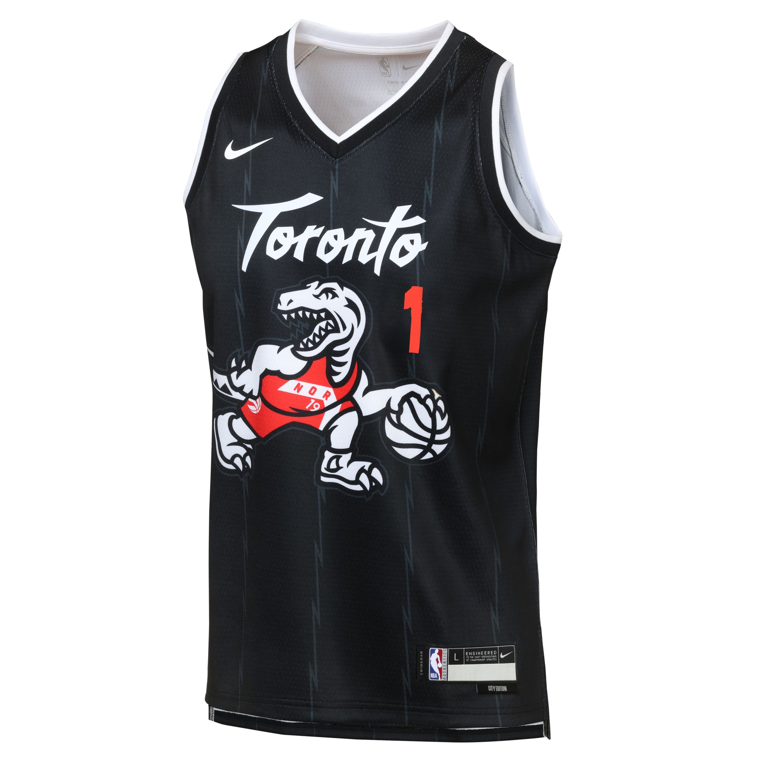 Youth Toronto Raptors Dick City Edition Jersey