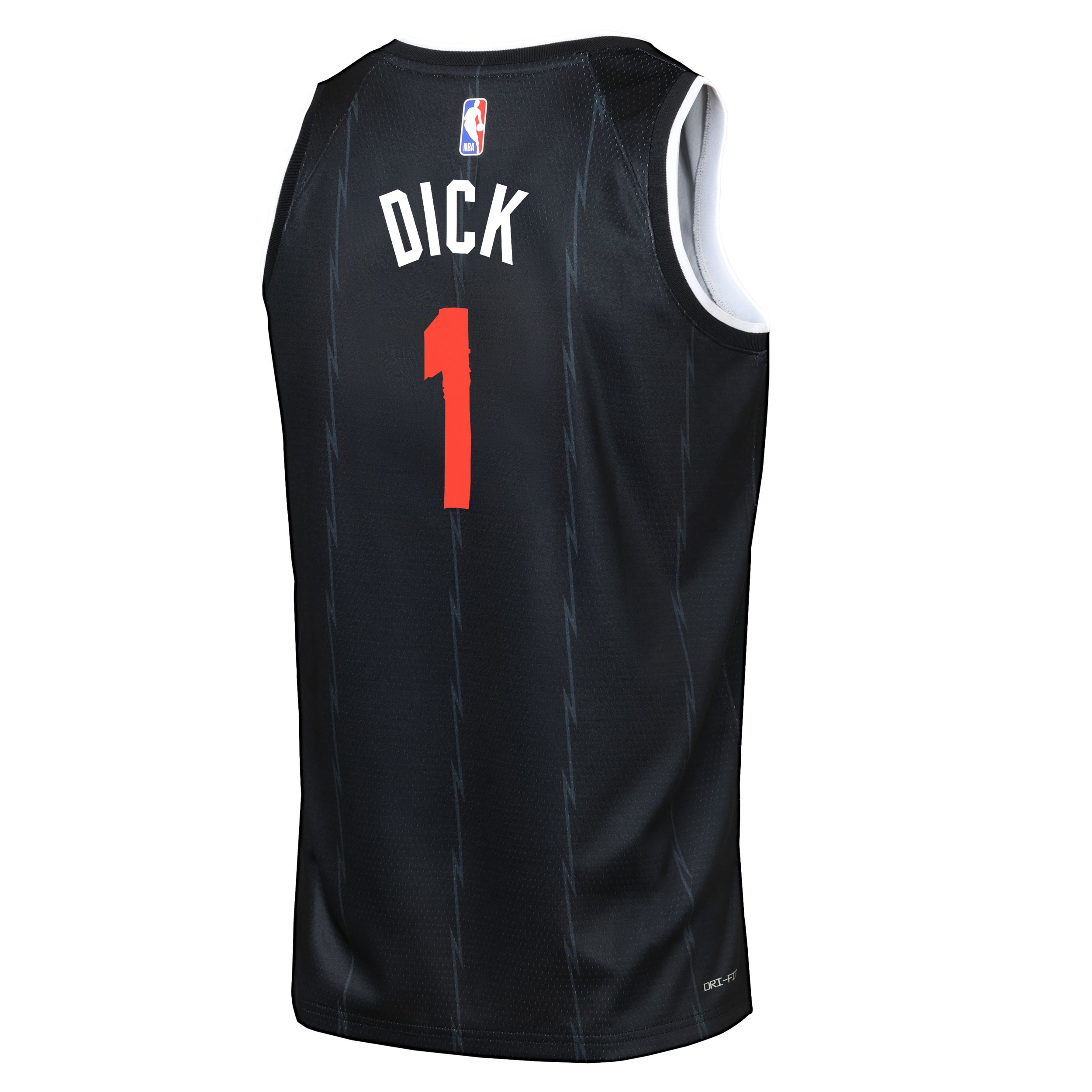 Youth Toronto Raptors Dick City Edition Jersey