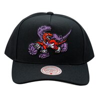 Mitchell & Ness Toronto Raptors Hardwood Classics Tilted Pro Snapback Hat Front_Flat