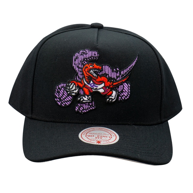 Mitchell & Ness Toronto Raptors Hardwood Classics Tilted Pro Snapback Hat