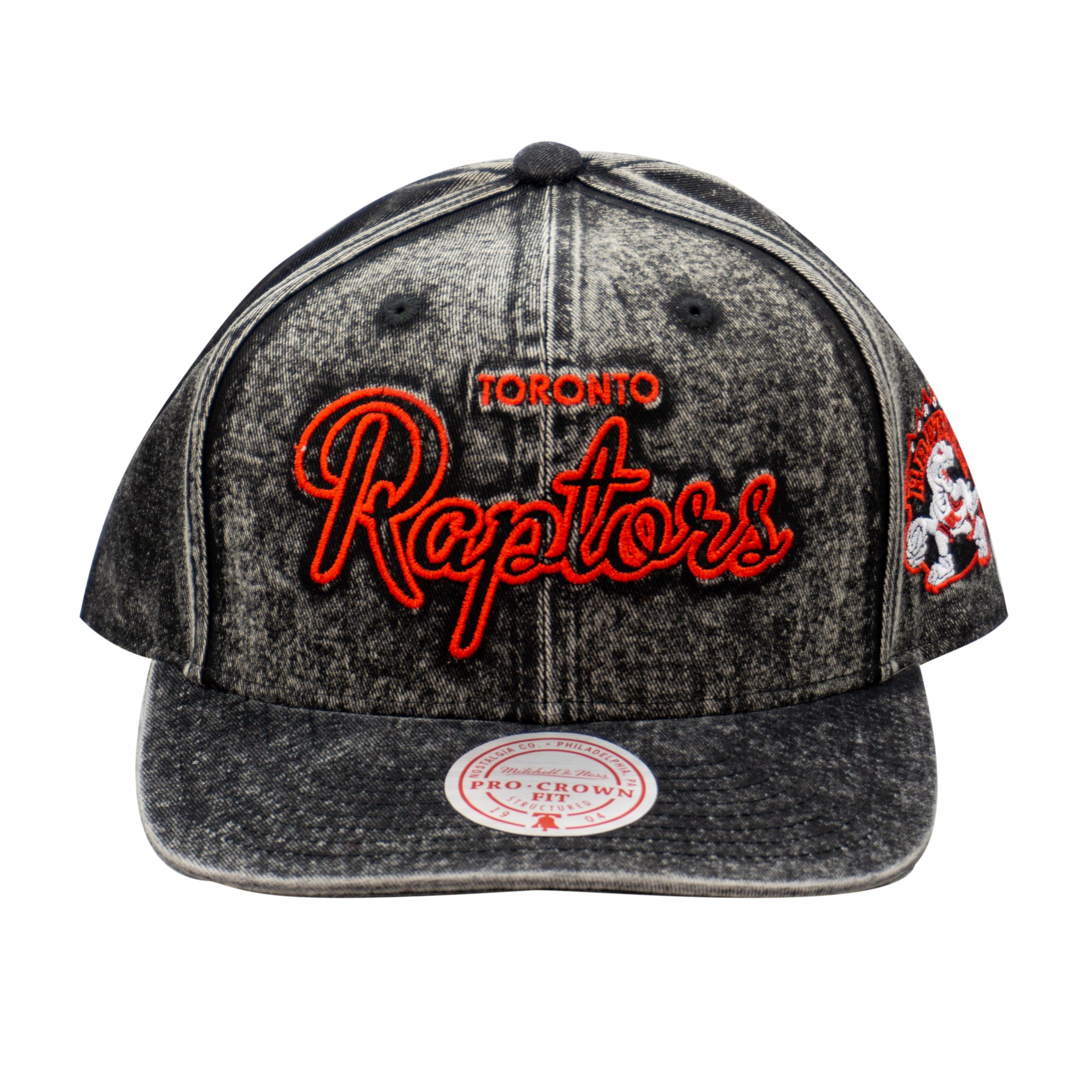 Mitchell & Ness Toronto Raptors Pro Crown Cap