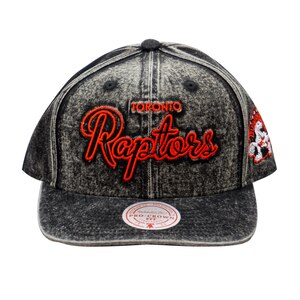 Mitchell & Ness Toronto Raptors Pro Crown Cap