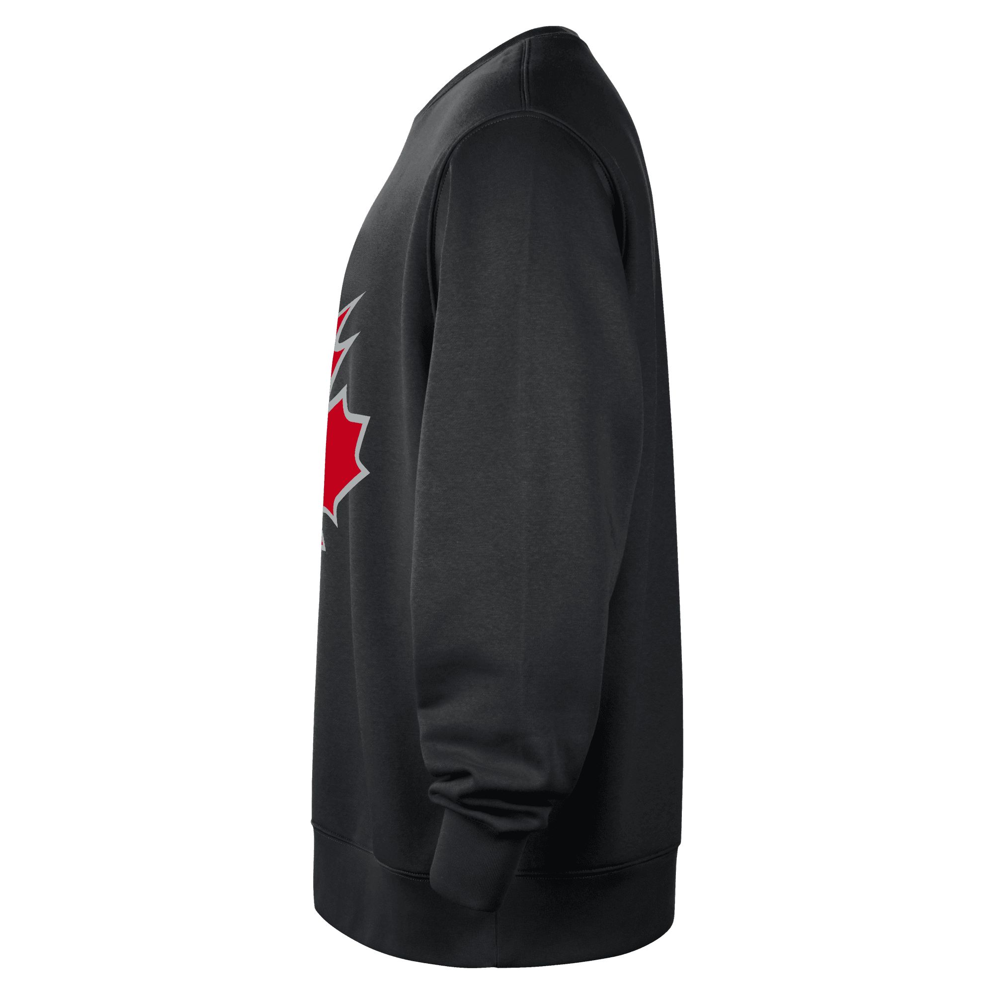Toronto Raptors Nike Men's Club Fleece Sweatshirt