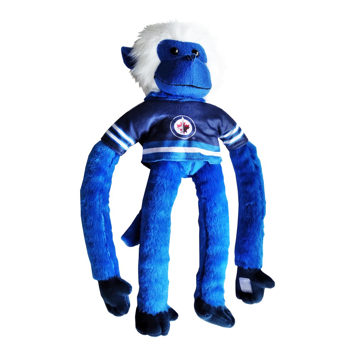 Image of Winnipeg Jets Forever Collectibles Jersey
