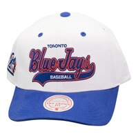 Toronto Maple Leafs Mitchell & Ness Tail Sweep Pro Snapback Cap Front_Elevated