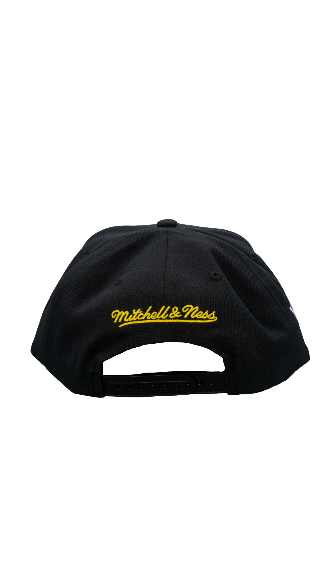 Vancouver Canucks Mitchell & Ness Big Time Snapback Cap