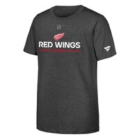 Youth Detroit Red Wings Outerstuff Apro Wordmark T-Shirt