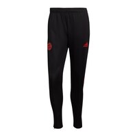 F.C. Bayern Munich adidas Training Pants Front_Flat