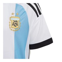 Argentina adidas Youth Replica Soccer Jersey, Football, International CloseUp