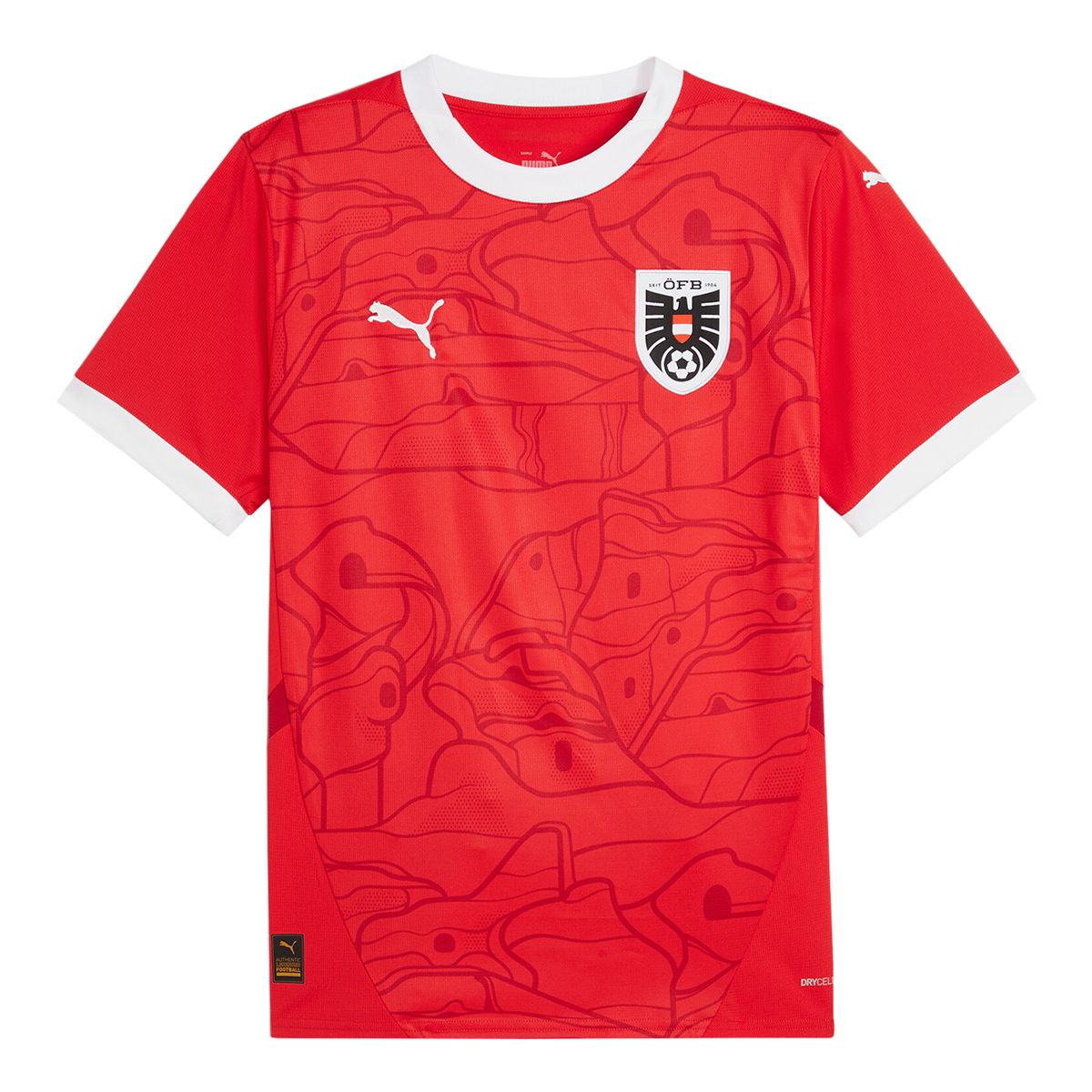 Austria PUMA Replica Home Jersey