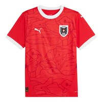 Austria PUMA Replica Home Jersey Front_Flat