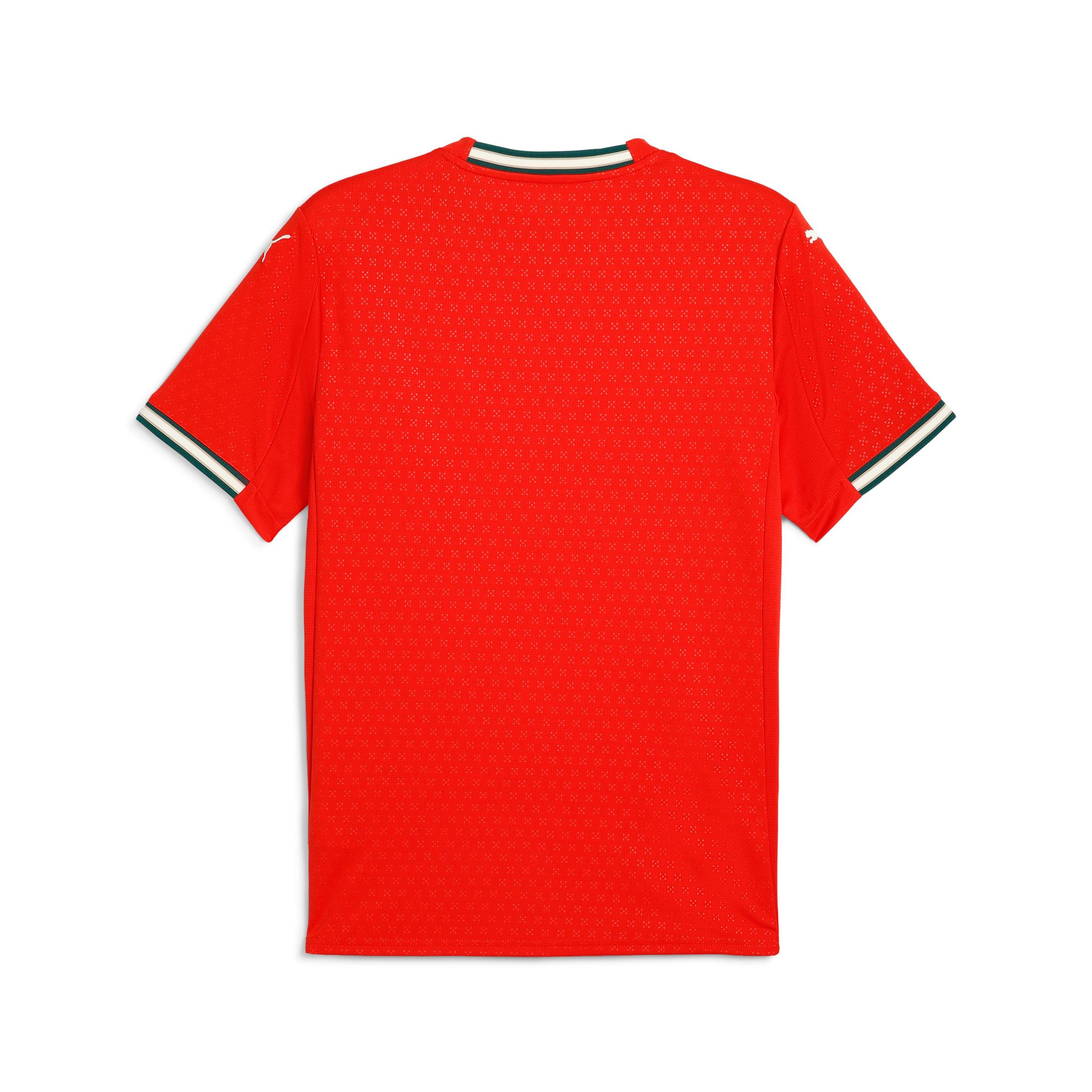 Portugal PUMA Replica Home Jersey
