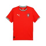 Portugal PUMA Replica Home Jersey Front_Flat