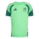 adidas Team Mexico Training Sweatshirt&nbsp; Front_Flat