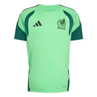 Team Mexico adidas Training Sweatshirt Front_Flat