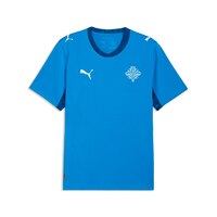 PUMA Team Iceland Home Jersey Front_Flat