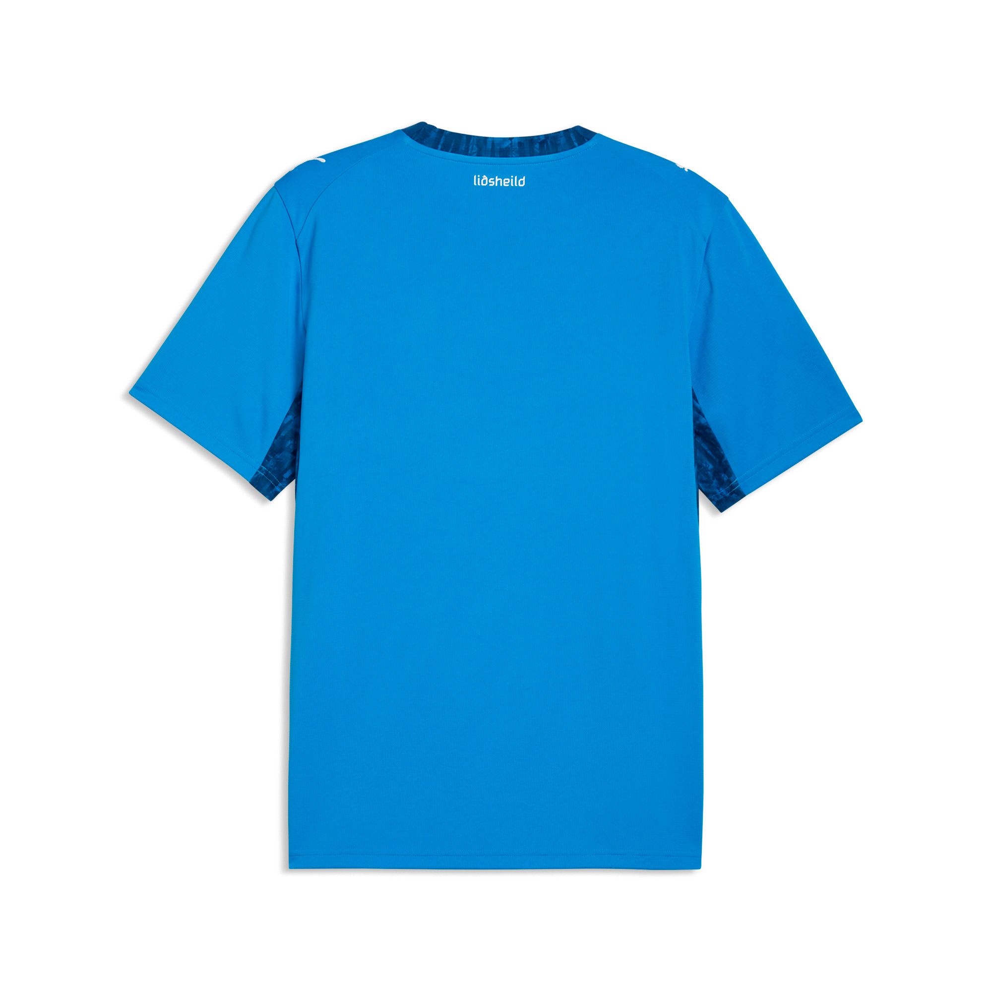 PUMA Team Iceland Home Jersey