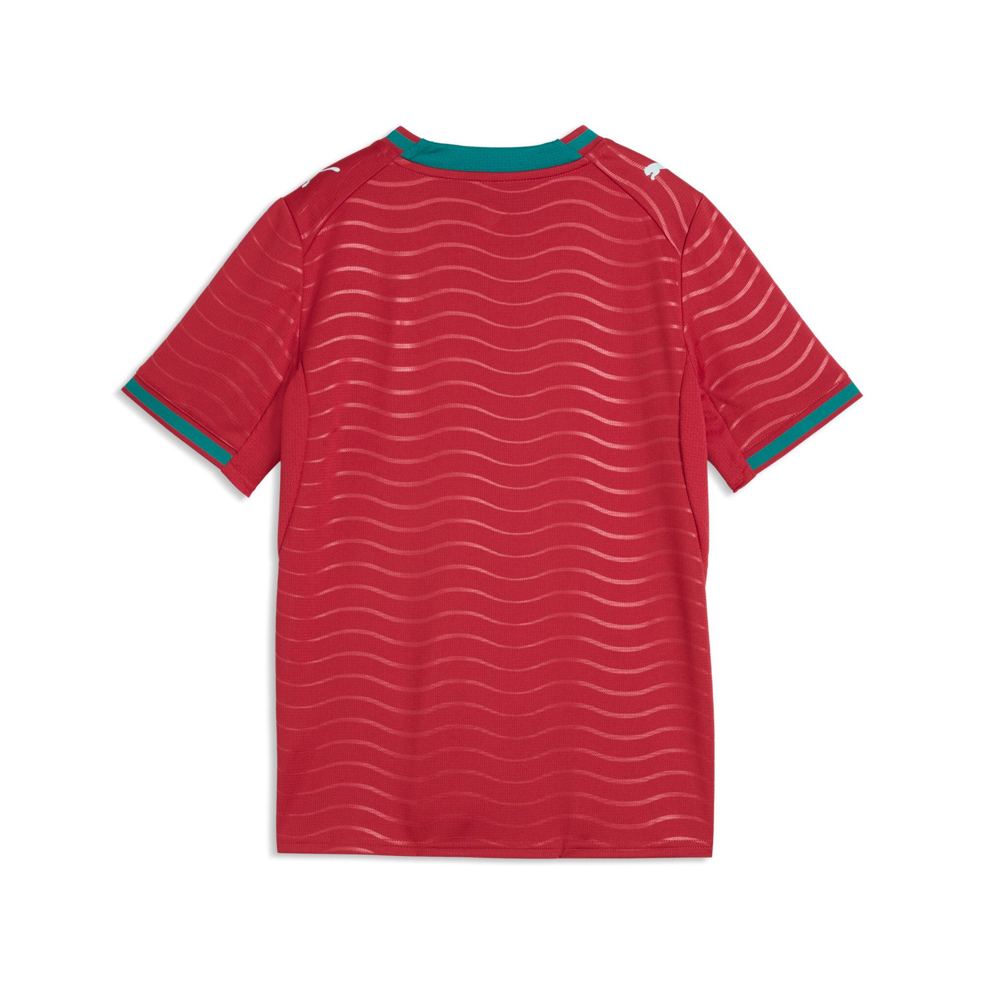 PUMA Youth Team Portugal Replica World Cup Home Jersey