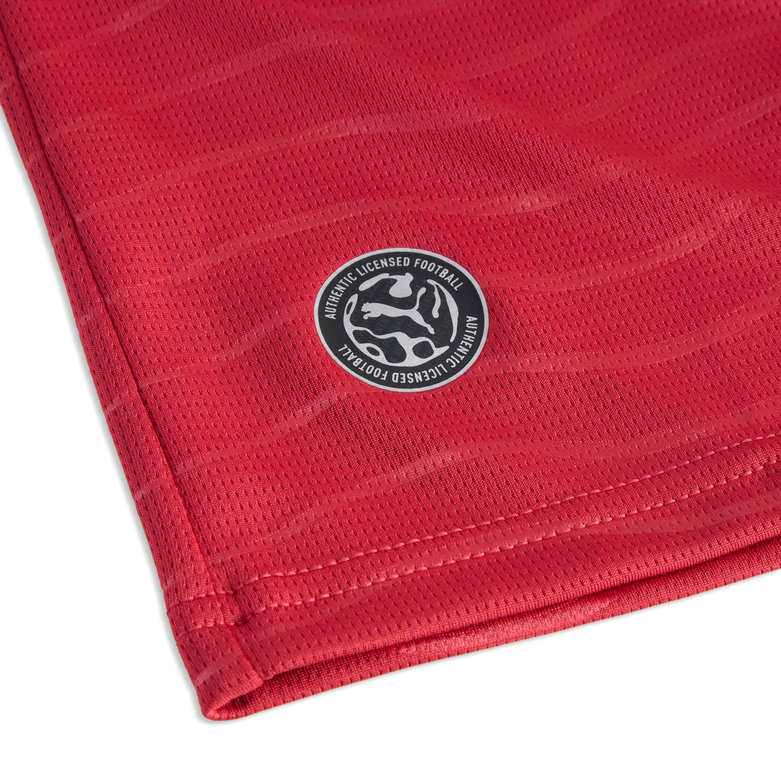 Youth Team Portugal PUMA Ronaldo Replica Home Jersey