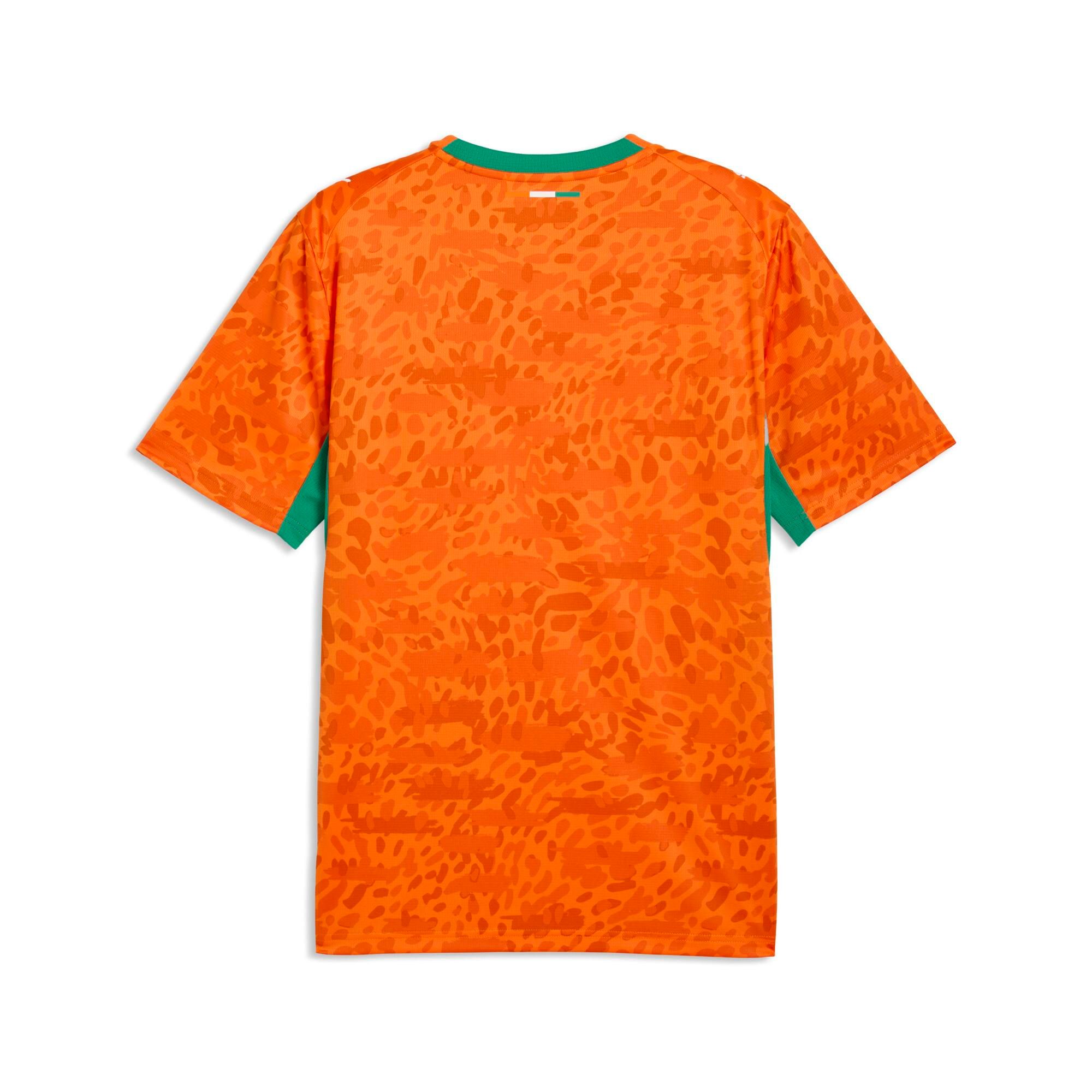 Team Ivory Coast PUMA Replica Home Jersey