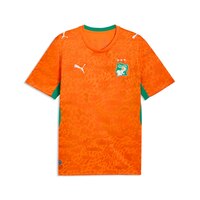 Team Ivory Coast PUMA Replica Home Jersey Front_Flat