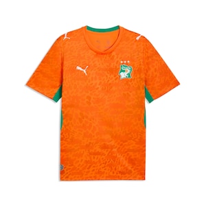 Team Ivory Coast PUMA Replica Home Jersey