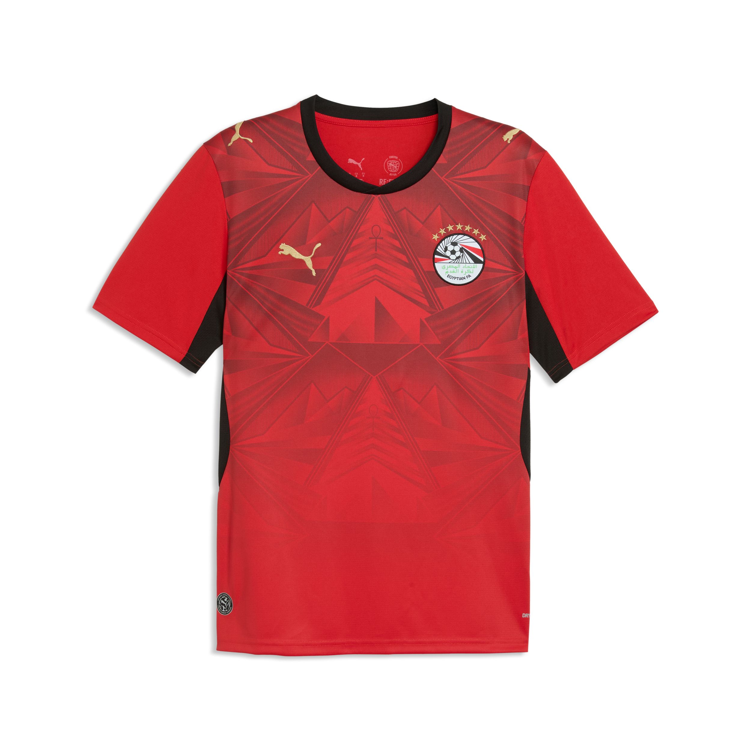 Team Egypt PUMA Replica Home Jersey