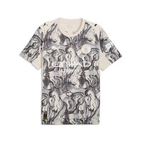 PUMA Manchester City F.c. Replica Jersey Front_Flat