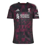 Liverpool F.C. adidas Men's Replica Third Jersey