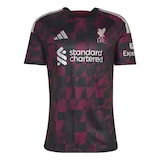 Liverpool F.C. adidas Men's Replica Third Jersey Front_Flat