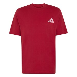 Liverpool F.C. adidas Men's Seasonal T-Shirt
