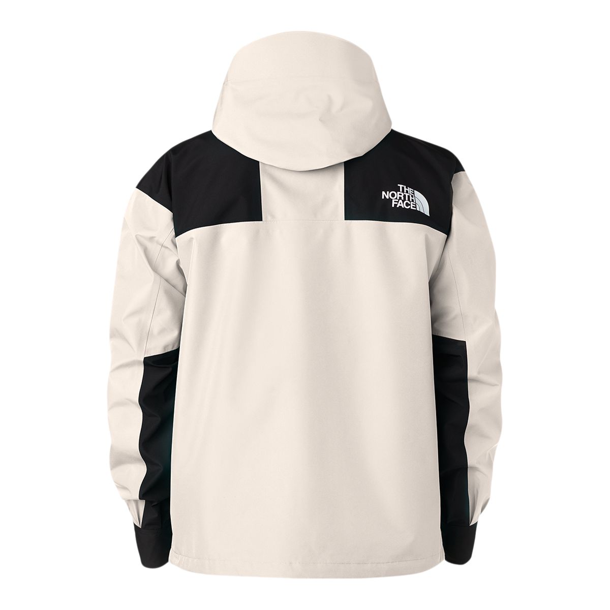 The North Face Men's Retro Futurelight M Jacket