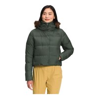 The North Face Women's Dealio Parka Front_Flat
