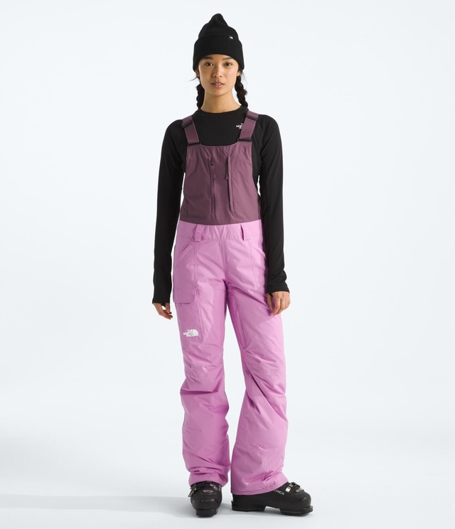 The North Face Women's Freedom Insulated Bib Pants