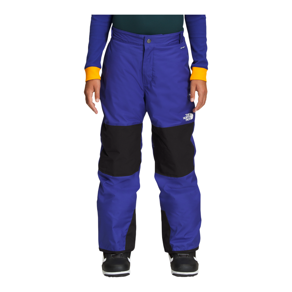 The North Face Freedom Ski Pants 