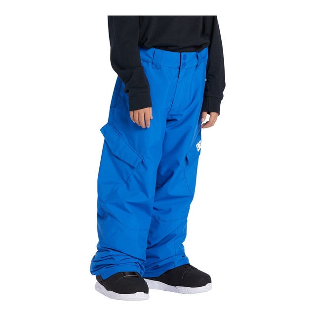 DC Boys' Insulated Snowboard Pants