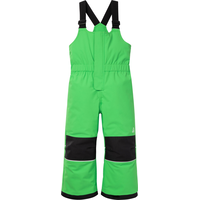 Ripzone Toddler Sunridge Insulated Pants Front_Flat