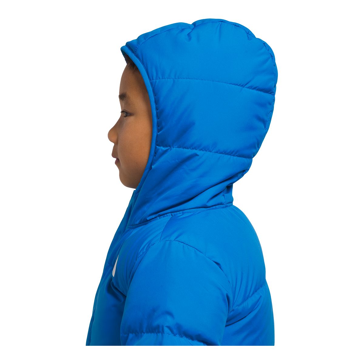 The North Face Toddler Boys' 2-7 North Down Hooded Jacket | SportChek