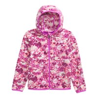 The North Face Kids' Glacier Full Zip Hoodie Front_Flat