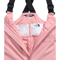 The North Face Toddler Kids' Freedom Insulated Snow Pants