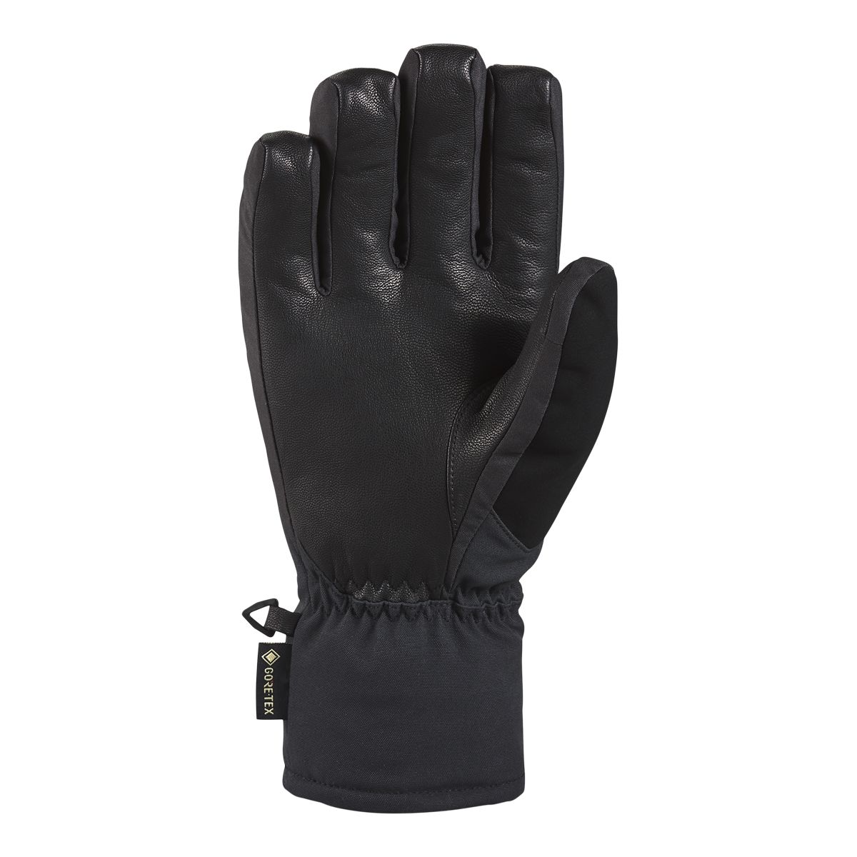 Dakine Men's Titan Gore-Tex Winter Gloves