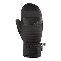 Dakine Men's Fillmore GORE-TEX G Winter Mitts Back_Flat