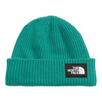The North Face Men's Salty Dog Beanie Front_Flat