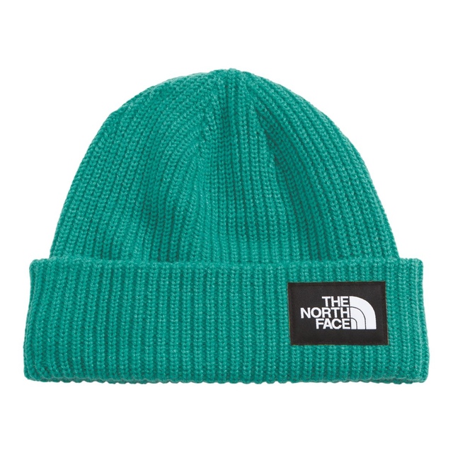 The North Face Men's Salty Dog Beanie