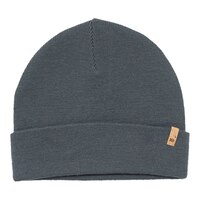 Tentree Men's Wool Kurt Beanie