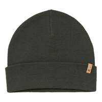 Tentree Men's Wool Kurt Beanie Front_Flat