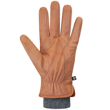 Auclair Men's Aiden Winter Gloves Front_Flat